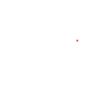 TWHEELS