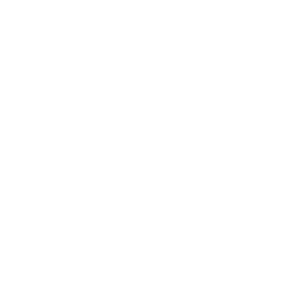 NO REGRETS